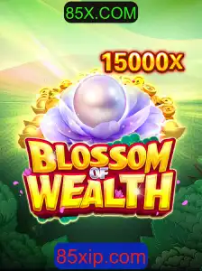 Descubra o Mundo de BlossomofWealth e as Oportunidades de 85X.COM